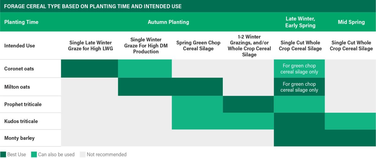 Table showing which forage cereal to choose based on planting time